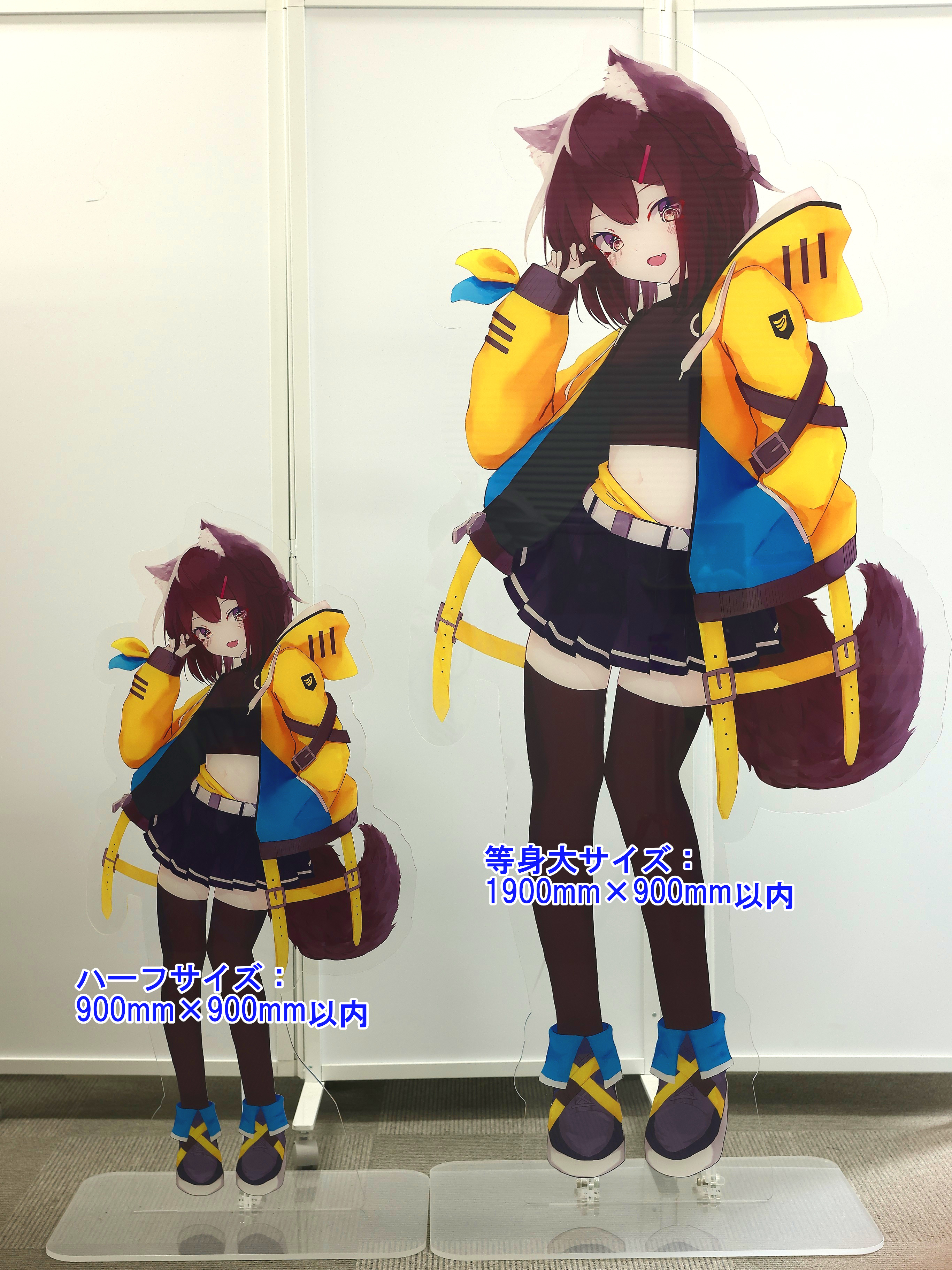 等身大ハーフ比較